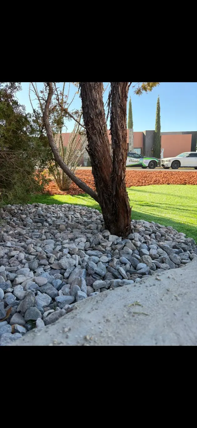 Jardín de ocotillo y piedra con borde de grava apilada